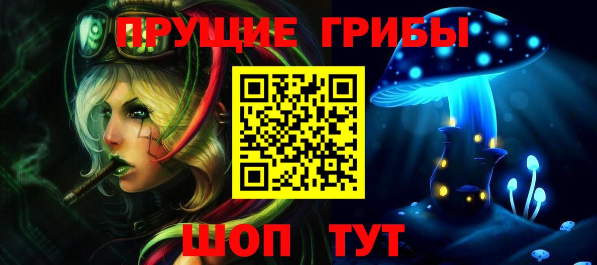 Галлюциногенные грибы Psilocybine cubensis  Вход с VPN  Советская Гавань 